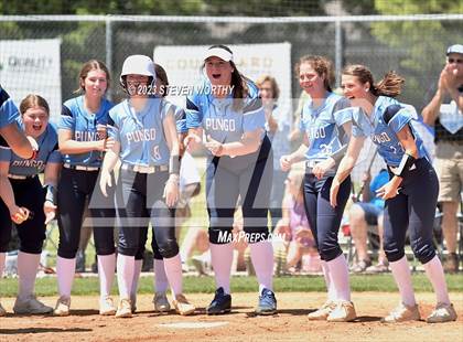 Thumbnail 2 in Pungo Christian Academy vs. Halifax Academy (NCISAA 1A Final Game 2) photogallery.
