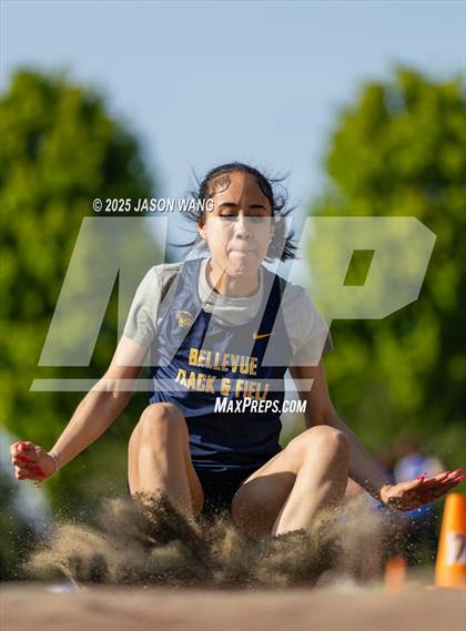 Thumbnail 3 in Bellevue @ Hazen (Long Jump) photogallery.