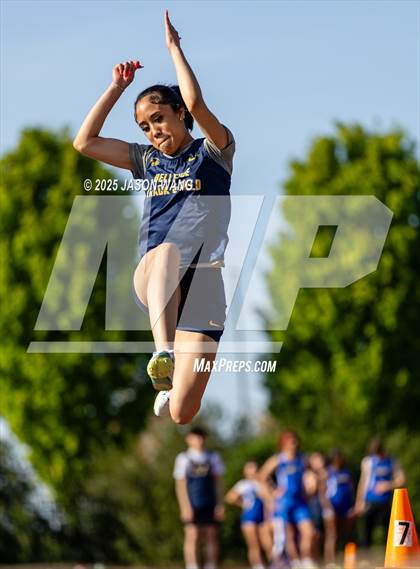 Thumbnail 3 in Bellevue @ Hazen (Long Jump) photogallery.