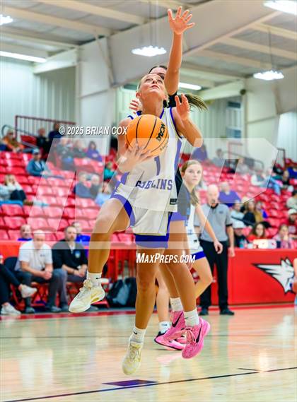 Thumbnail 2 in Harrison vs Bergman (Billy Ply Classic) photogallery.