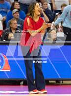 Photo from the gallery "Norris vs. Skutt Catholic (NSAA Class B Final)"