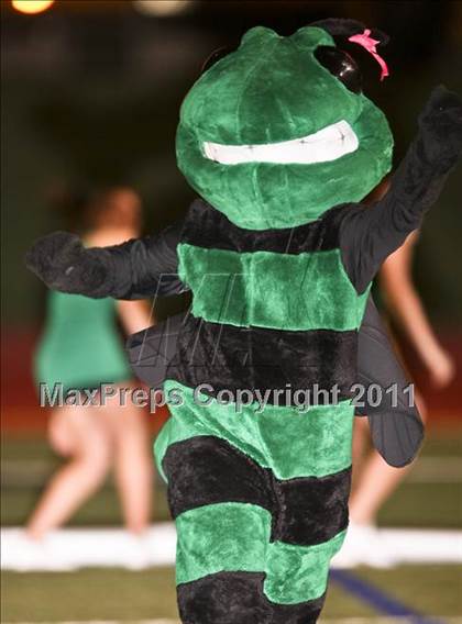 Thumbnail 2 in Azle @ Paschal photogallery.