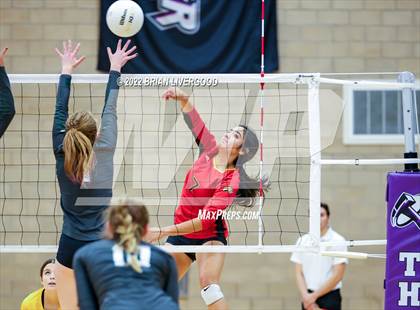 Thumbnail 3 in D'Evelyn vs. Coronado (CHSAA 4A Region 8 Playoff) photogallery.