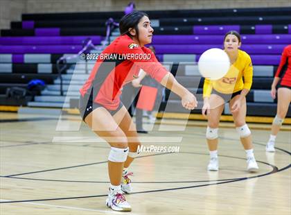 Thumbnail 1 in D'Evelyn vs. Coronado (CHSAA 4A Region 8 Playoff) photogallery.