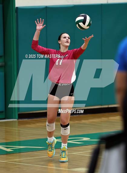 Thumbnail 2 in Hough @ Myers Park photogallery.