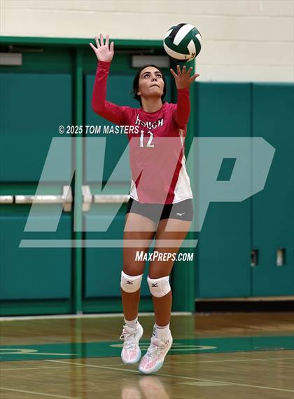 Thumbnail 1 in Hough @ Myers Park photogallery.