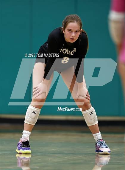 Thumbnail 1 in Hough @ Myers Park photogallery.