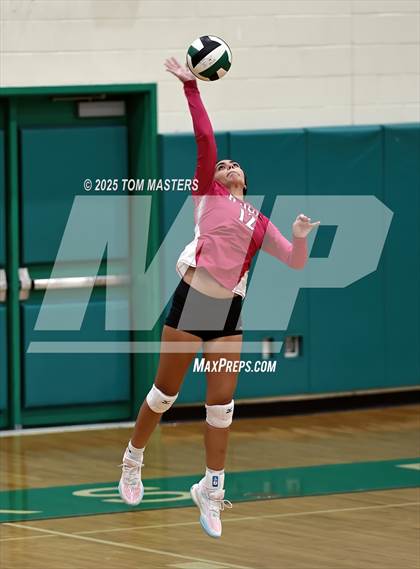 Thumbnail 1 in Hough @ Myers Park photogallery.