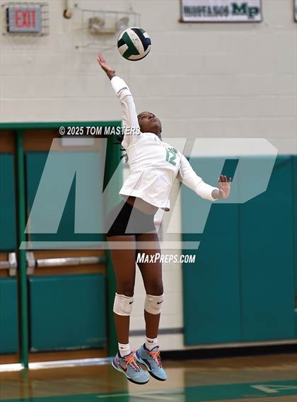 Thumbnail 1 in Hough @ Myers Park photogallery.