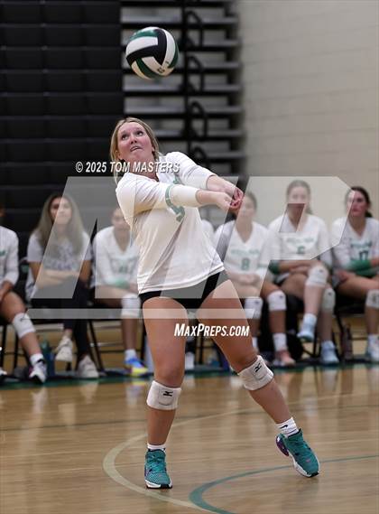 Thumbnail 1 in Hough @ Myers Park photogallery.