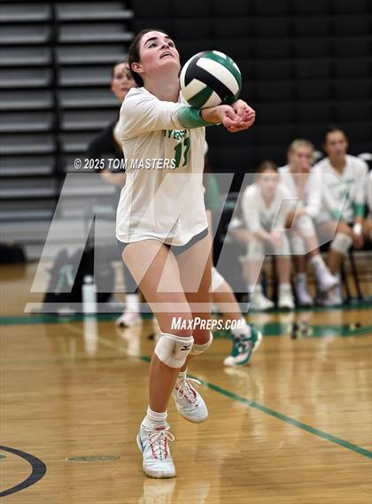 Thumbnail 3 in Hough @ Myers Park photogallery.
