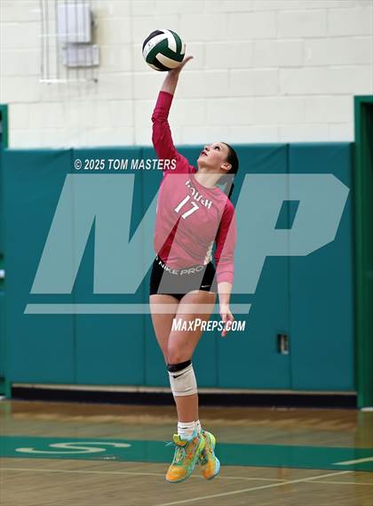 Thumbnail 2 in Hough @ Myers Park photogallery.