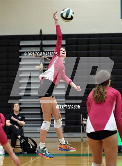 Thumbnail 1 in Hough @ Myers Park photogallery.