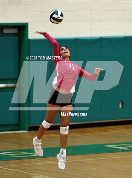 Thumbnail 3 in Hough @ Myers Park photogallery.