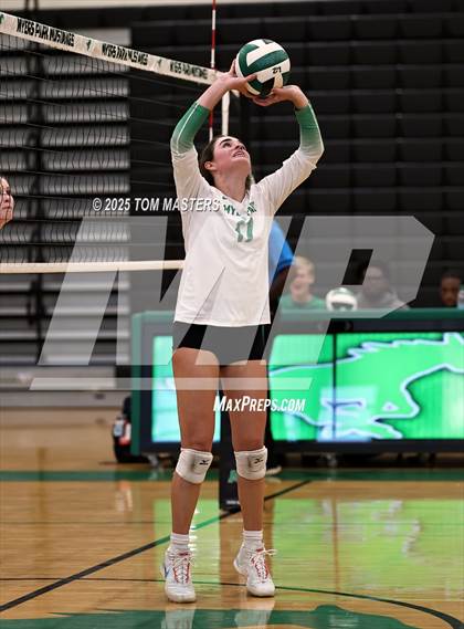 Thumbnail 3 in Hough @ Myers Park photogallery.