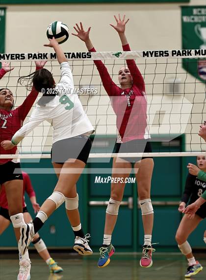 Thumbnail 2 in Hough @ Myers Park photogallery.