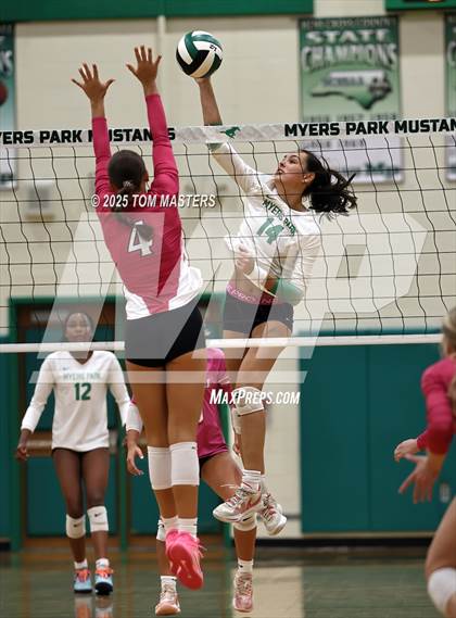 Thumbnail 2 in Hough @ Myers Park photogallery.