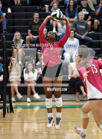 Thumbnail 3 in Hough @ Myers Park photogallery.