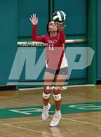 Photo from the gallery "Hough @ Myers Park"