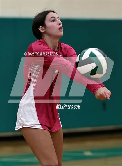 Thumbnail 3 in Hough @ Myers Park photogallery.