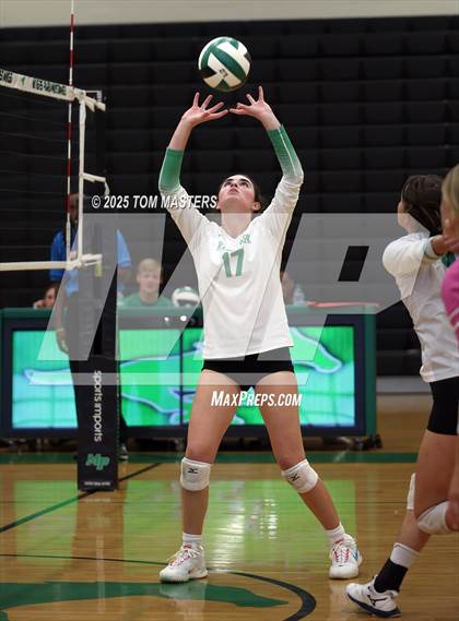 Thumbnail 1 in Hough @ Myers Park photogallery.