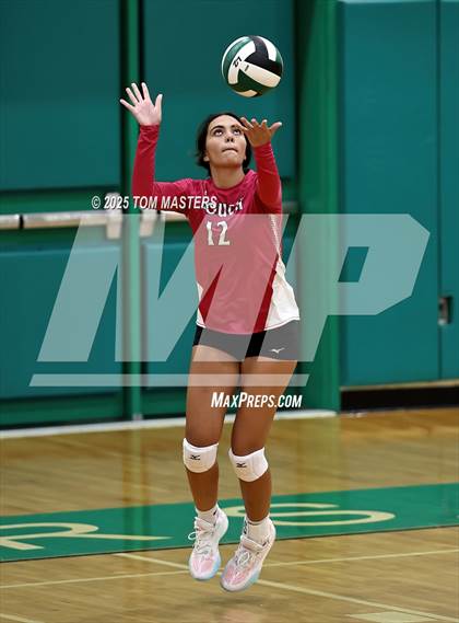 Thumbnail 2 in Hough @ Myers Park photogallery.