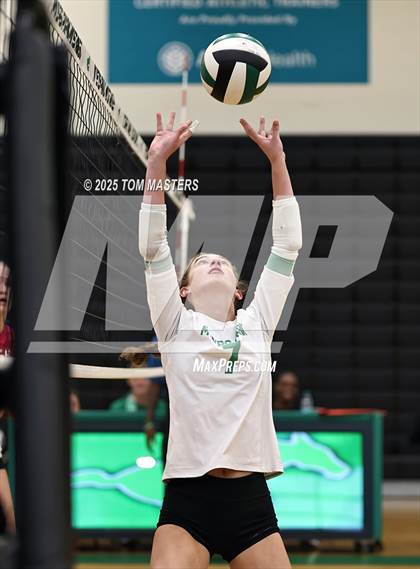 Thumbnail 1 in Hough @ Myers Park photogallery.