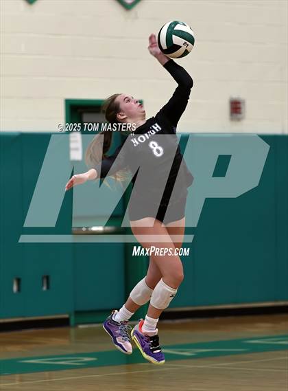 Thumbnail 3 in Hough @ Myers Park photogallery.