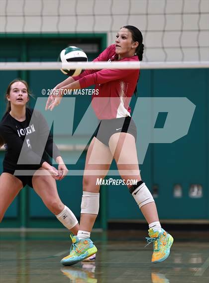 Thumbnail 3 in Hough @ Myers Park photogallery.