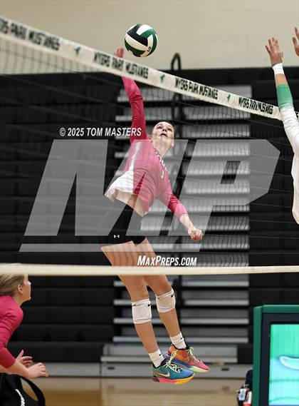 Thumbnail 1 in Hough @ Myers Park photogallery.