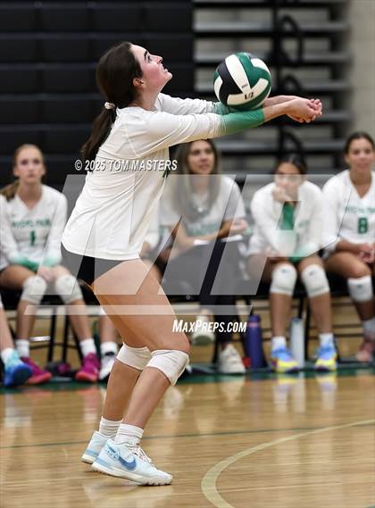 Thumbnail 1 in Hough @ Myers Park photogallery.
