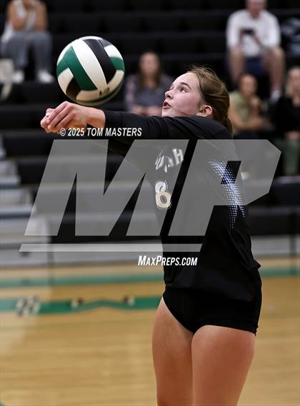 Thumbnail 3 in Hough @ Myers Park photogallery.