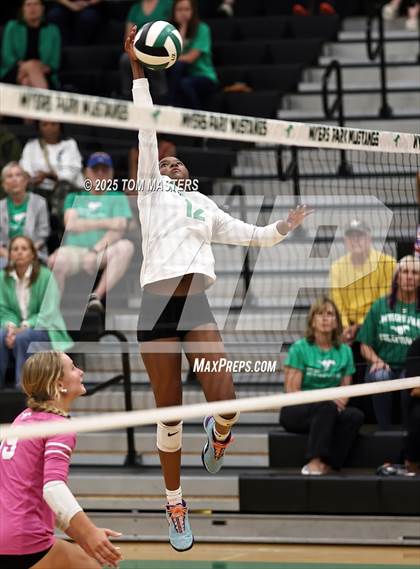 Thumbnail 1 in Hough @ Myers Park photogallery.