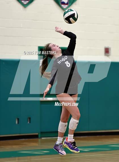 Thumbnail 3 in Hough @ Myers Park photogallery.