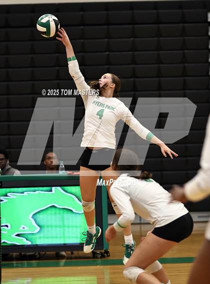 Thumbnail 3 in Hough @ Myers Park photogallery.