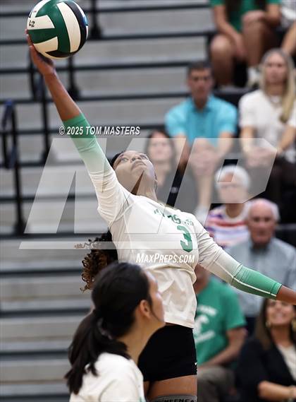 Thumbnail 1 in Hough @ Myers Park photogallery.