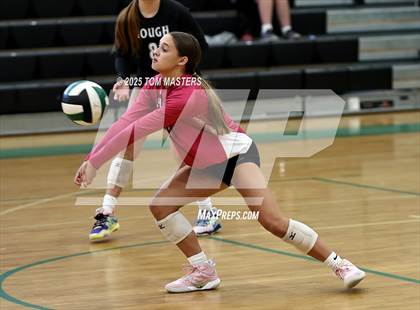 Thumbnail 1 in Hough @ Myers Park photogallery.