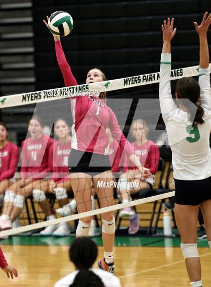 Thumbnail 1 in Hough @ Myers Park photogallery.