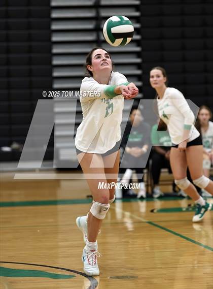 Thumbnail 3 in Hough @ Myers Park photogallery.