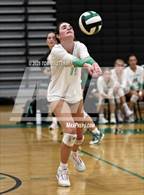 Photo from the gallery "Hough @ Myers Park"