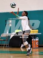 Photo from the gallery "Hough @ Myers Park"