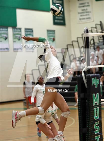 Thumbnail 1 in Hough @ Myers Park photogallery.