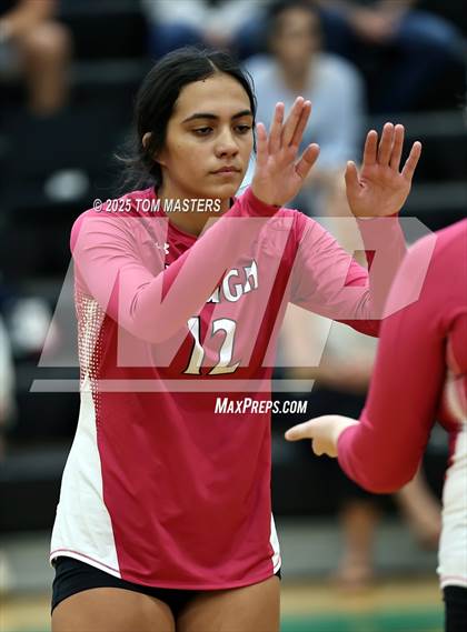 Thumbnail 1 in Hough @ Myers Park photogallery.