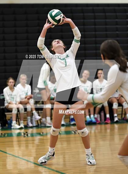 Thumbnail 1 in Hough @ Myers Park photogallery.