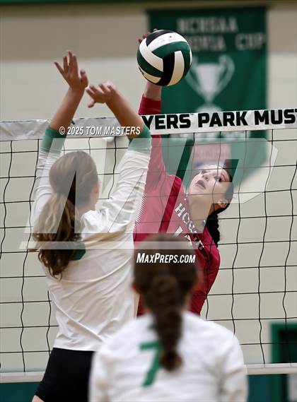 Thumbnail 1 in Hough @ Myers Park photogallery.