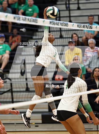 Thumbnail 3 in Hough @ Myers Park photogallery.