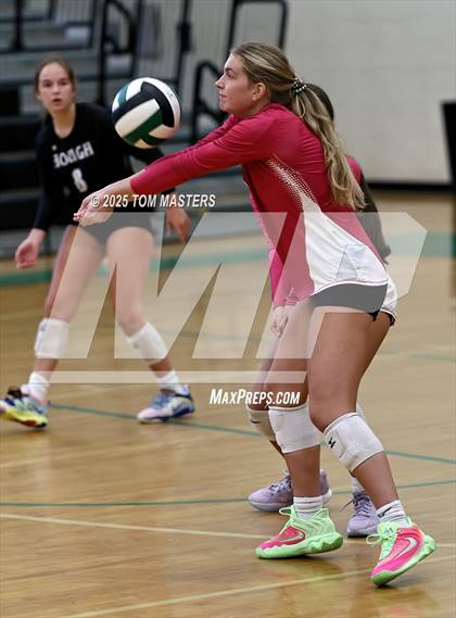 Thumbnail 1 in Hough @ Myers Park photogallery.