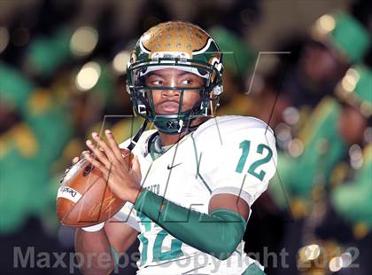 Thumbnail 1 in DeSoto @ Mansfield photogallery.