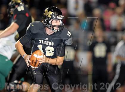 Thumbnail 3 in DeSoto @ Mansfield photogallery.