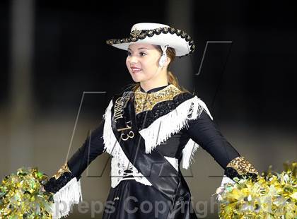 Thumbnail 1 in DeSoto @ Mansfield photogallery.